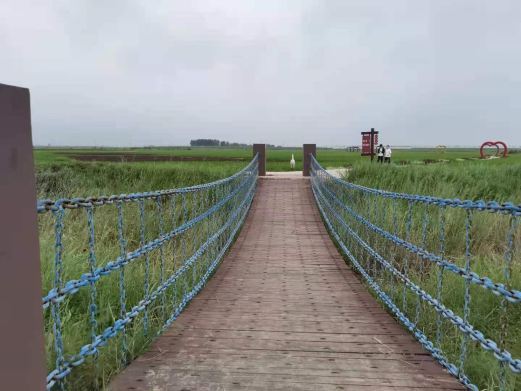 东营“水城米仓”稻田画景区