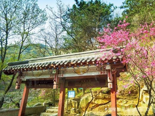 泰安桃花源