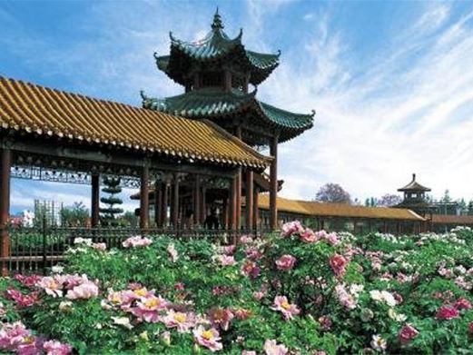 菏泽古今牡丹园