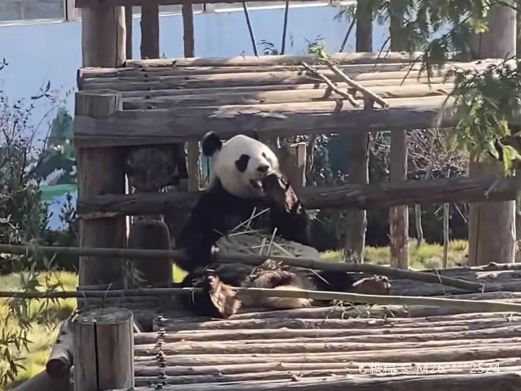 荣成西霞口神雕山野生动物世界
