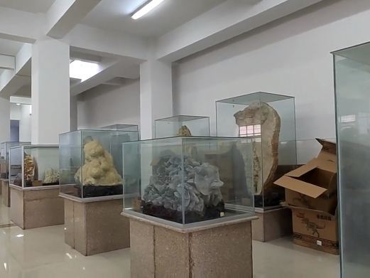 平邑山东省天宇自然博物馆