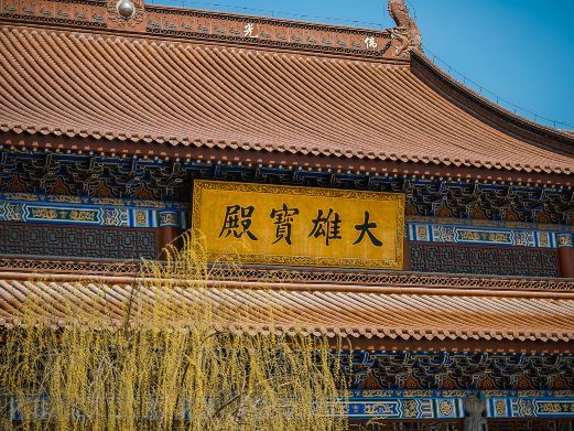 齐河定慧寺