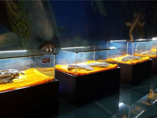 诸城中国暴龙馆