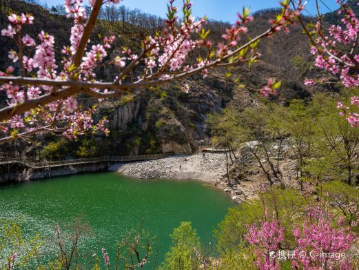 泰安桃花峪