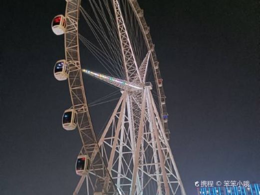 临沂泰盛楼顶摩天轮