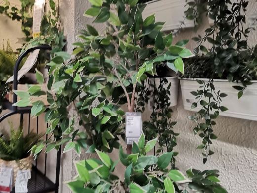 山阴水世界花鸟鱼虫(忠州路店)