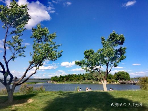 大同文瀛湖森林公园-生态公园