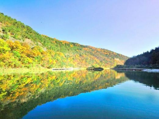 陕西黄陵国家森林公园