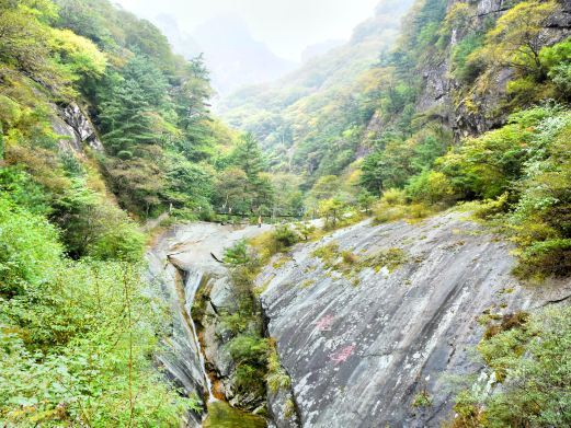 西安朱雀国家森林公园