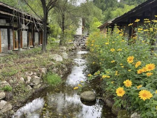宁陕上坝河国家森林公园