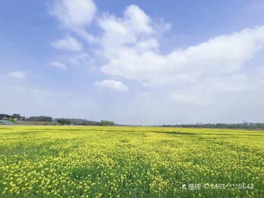 大荔同州湖风景区