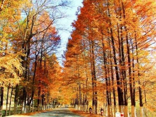 留坝高江路