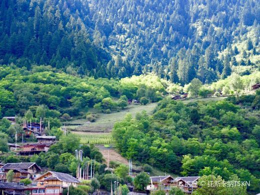 九寨沟中查沟