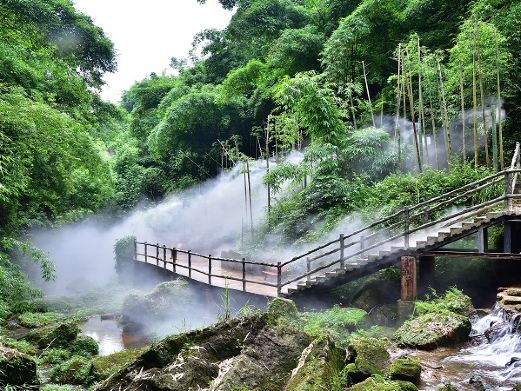 邛崃川西竹海景区