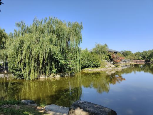 西安鹦鹉寺公园
