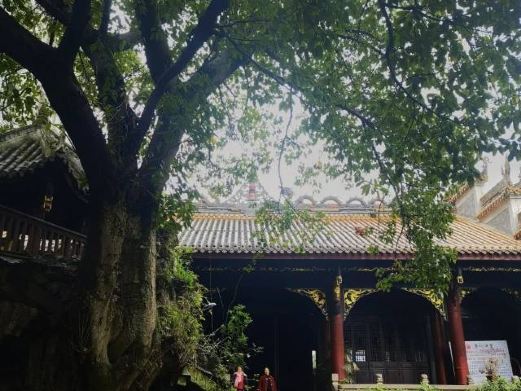 叙永春秋祠