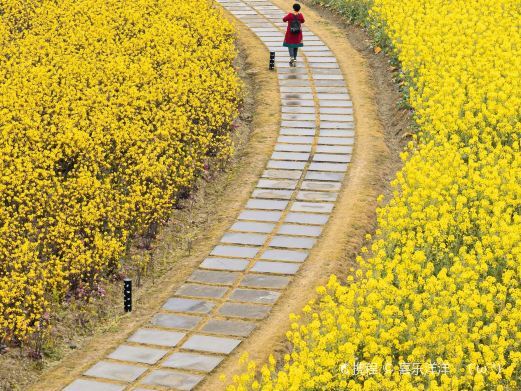成都江安农场