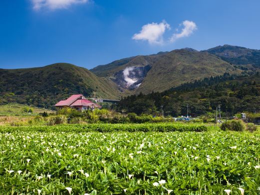 台北竹子湖