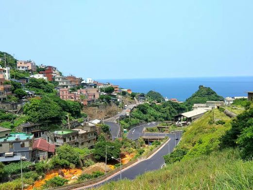 新北桐花景点步道-土城区承天禅寺步道