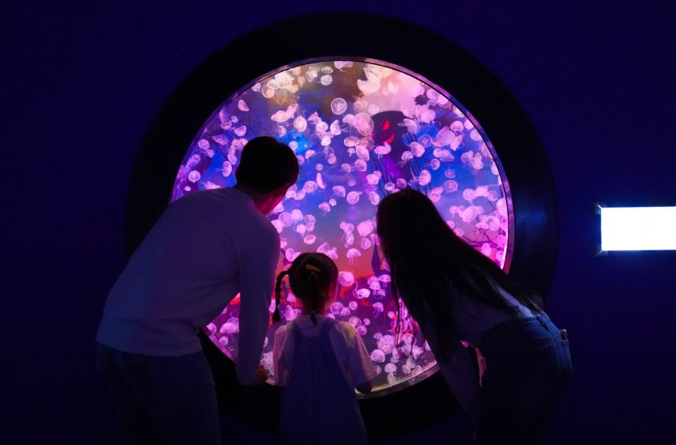 高雄乐天水族馆