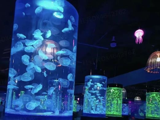 库尔勒水母海洋馆