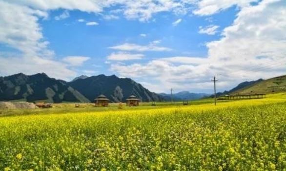 乌鲁木齐县雪岭鹰谷艾美露营公园