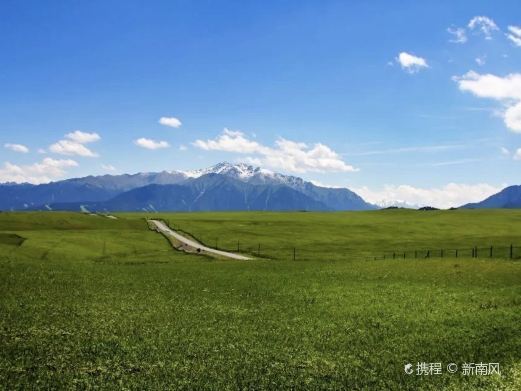 乌鲁木齐县乌拉斯台草原