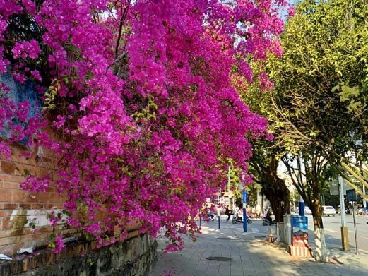 瑞丽旅游步行街