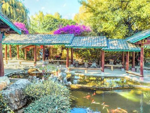 市大理苍山植物园