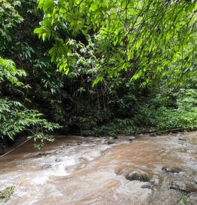 勐腊纳卡村雨林徒步