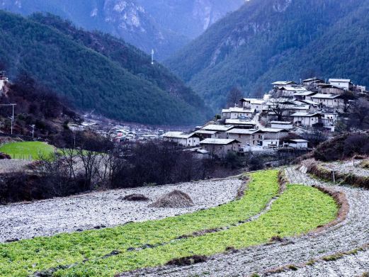 香格里拉尼汝村