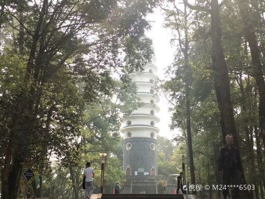 腾冲来凤山国家森林公园