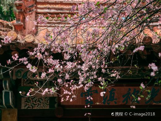 昆明昙华寺