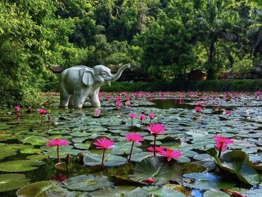 景洪高架栈道