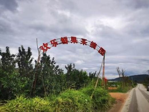 禄劝鲜果采摘园生态农庄