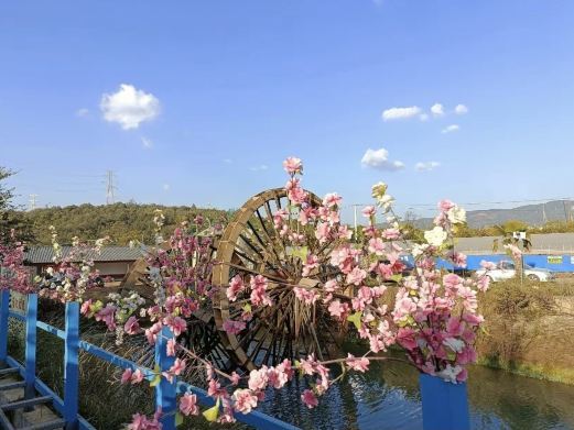 昆明花鱼塘