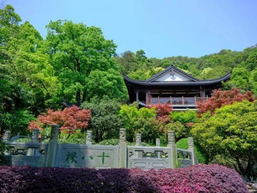 杭州老龙井十八棵御茶园