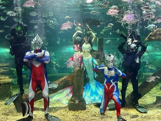 金华万泰海立方海洋公园