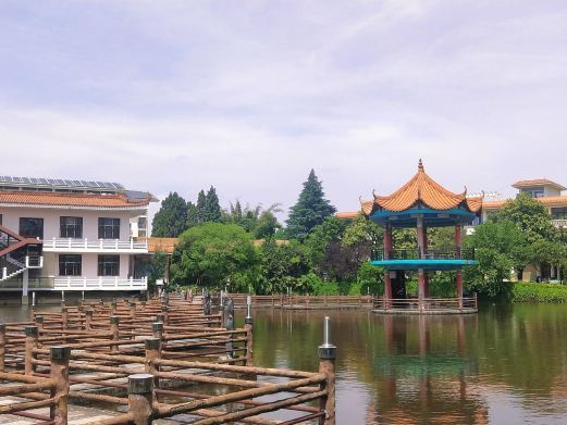 石林杏林大观园