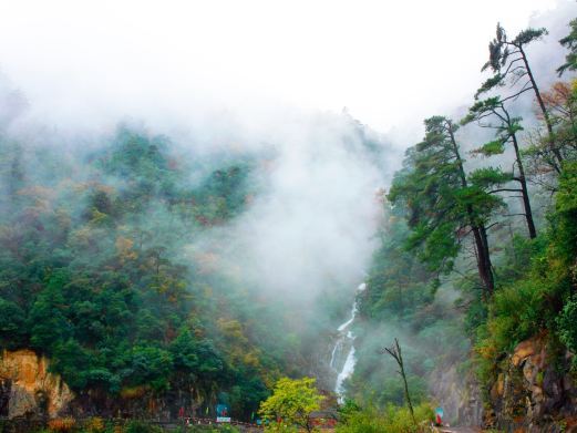 杭州天目山景区