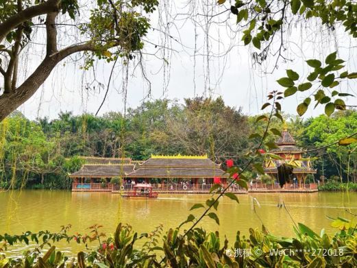 景洪放生湖