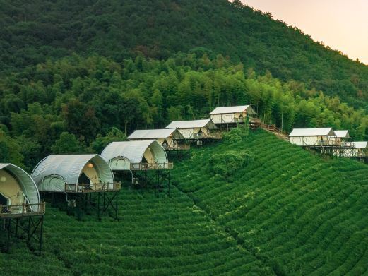 德清境见茶野里野奢露营地
