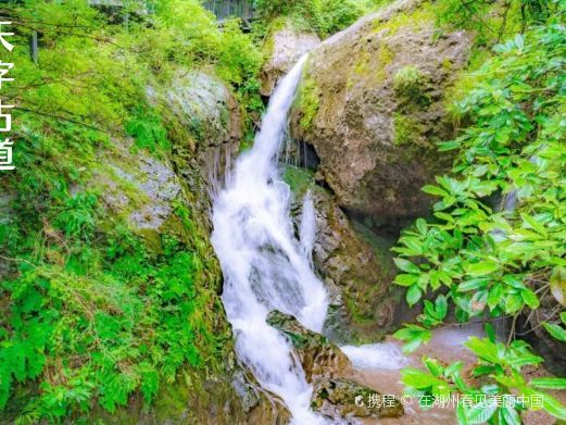 湖州陆羽古道