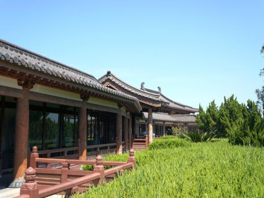 舟山不肯去观音院