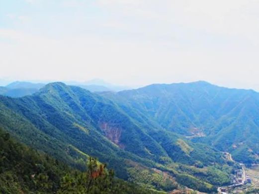 泰顺柳峰尖