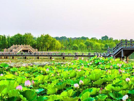 长兴仙山湖风景区