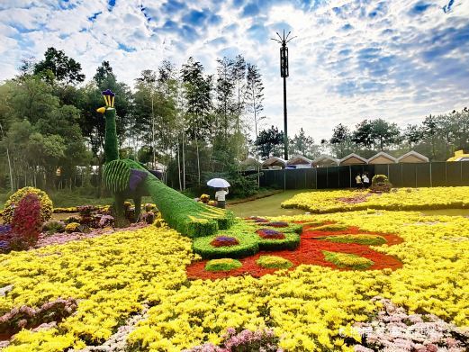 义乌植物园