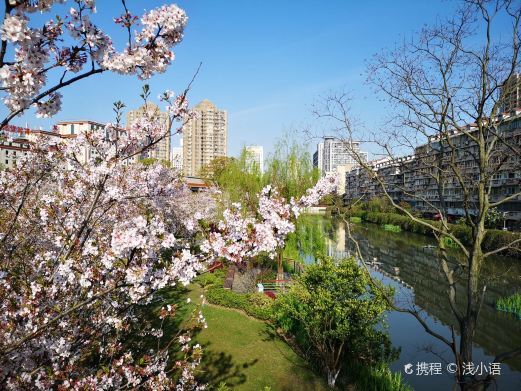 宁波樱花公园