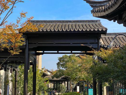 杭州桃李春风