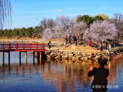 杭州圆明园遗址